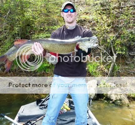 Resized_Musky.jpg