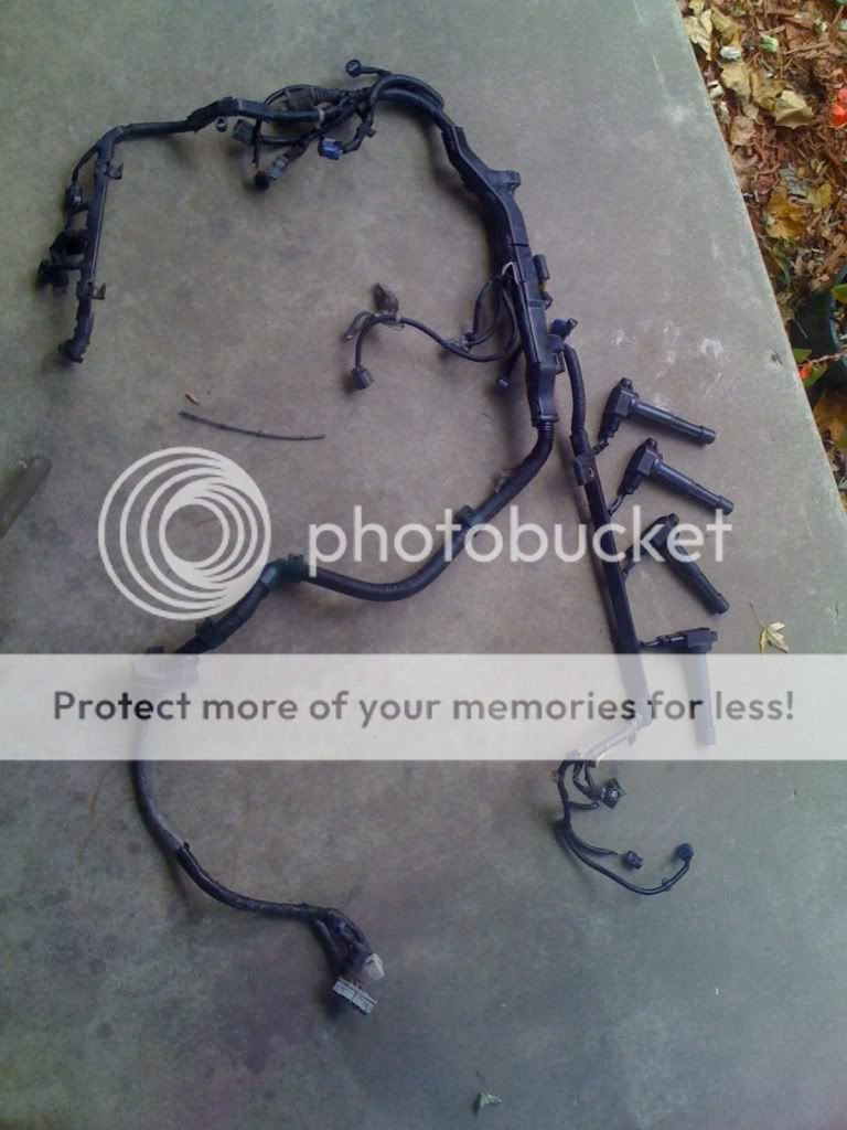 EP3 Engine Harness, Charge Harness, k24a1 pistons & rods, 440 injector