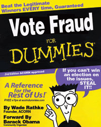 votefraudfordummies