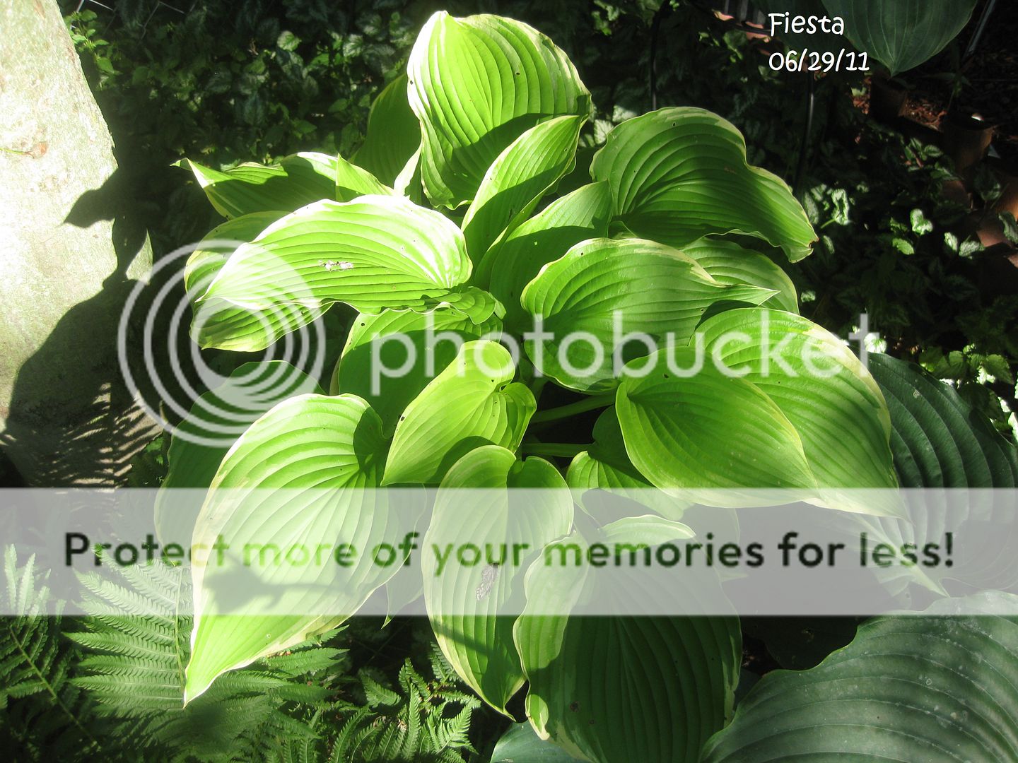 Photobucket
